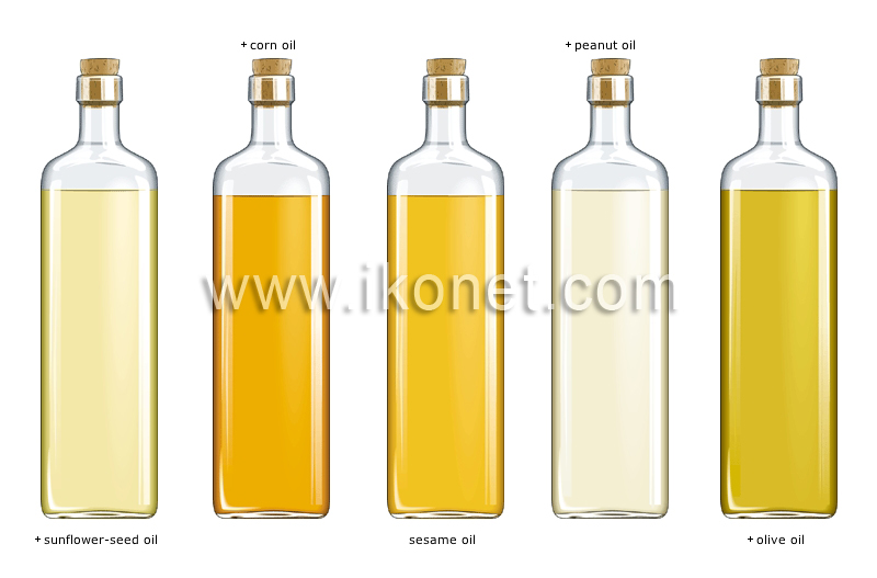 fats and oils image