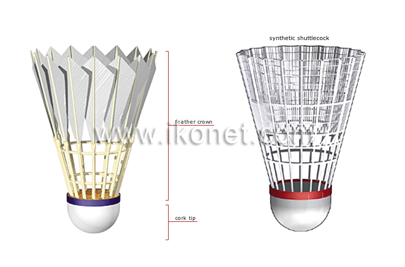 feathered shuttlecock image