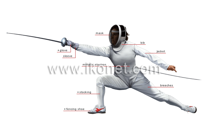 fencer image