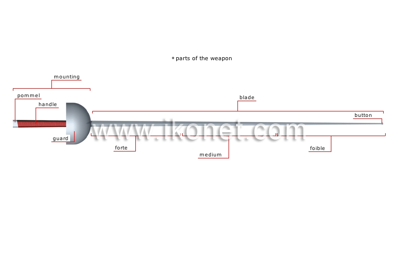 fencing weapons image