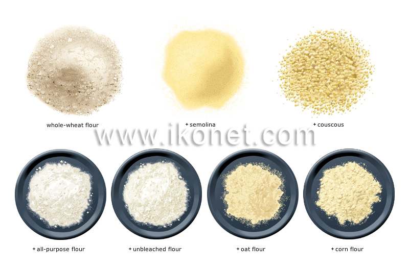 flour and semolina image