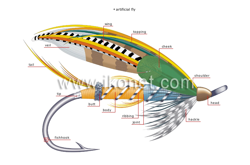 sports and games > outdoor leisure > fishing > flyfishing image - Visual  Dictionary