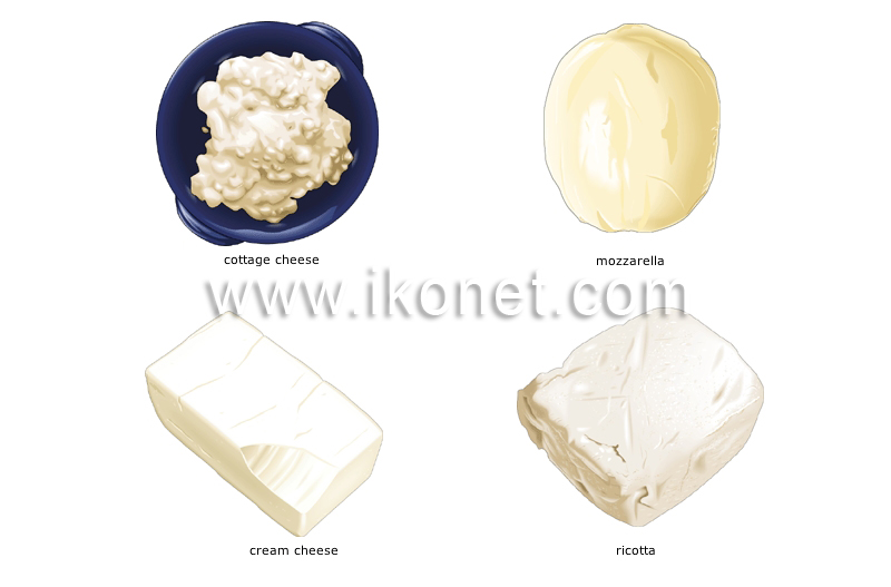 fresh cheeses image