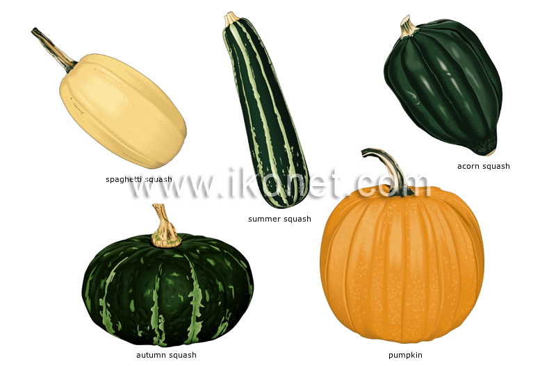 fruit vegetables image