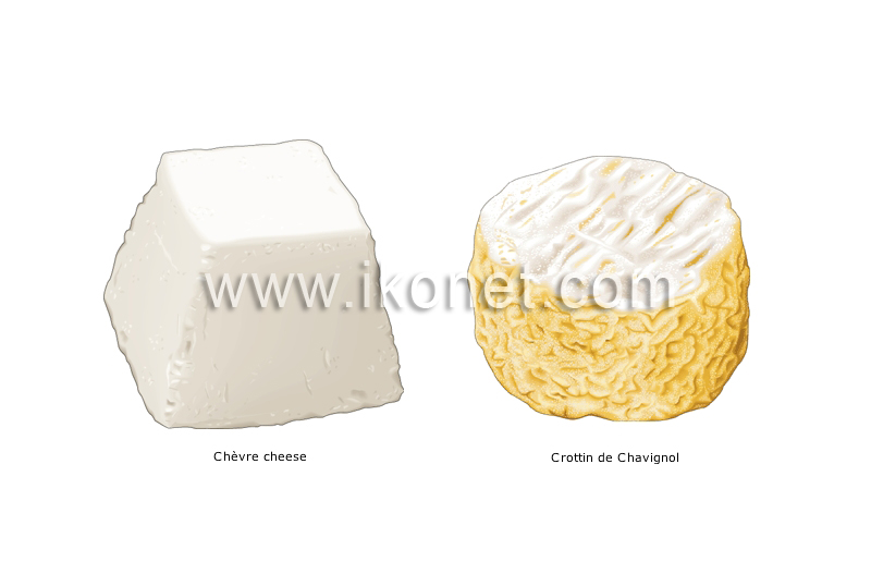 goat’s-milk cheeses image