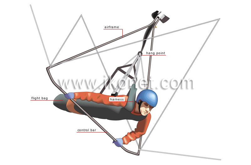 hang gliding pilot image