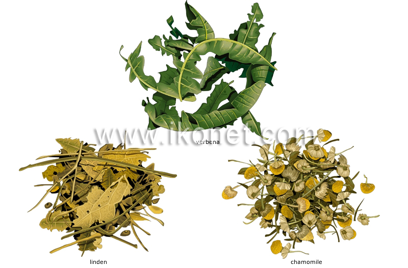 herbal teas image