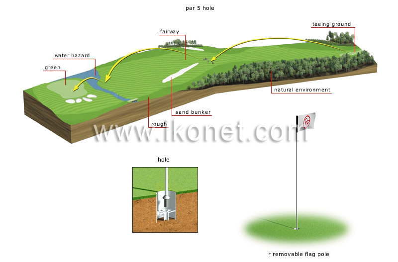 holes image