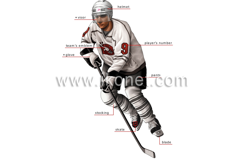 ice hockey player image
