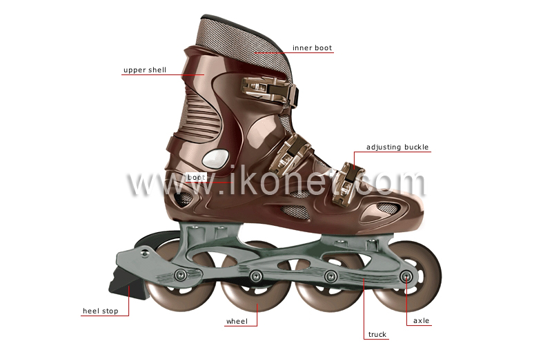 in-line skate image