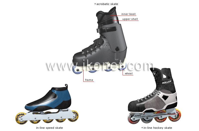in-line skate image