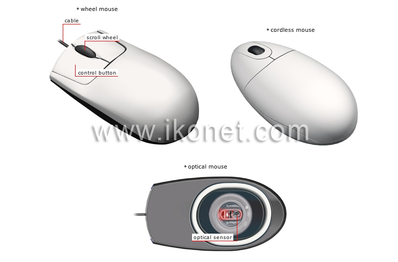 input devices image