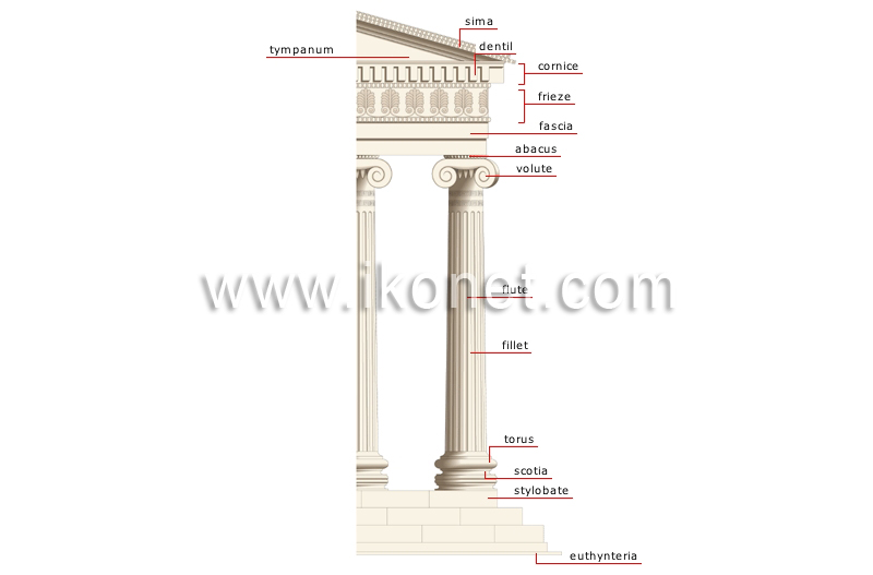 Ionic order image