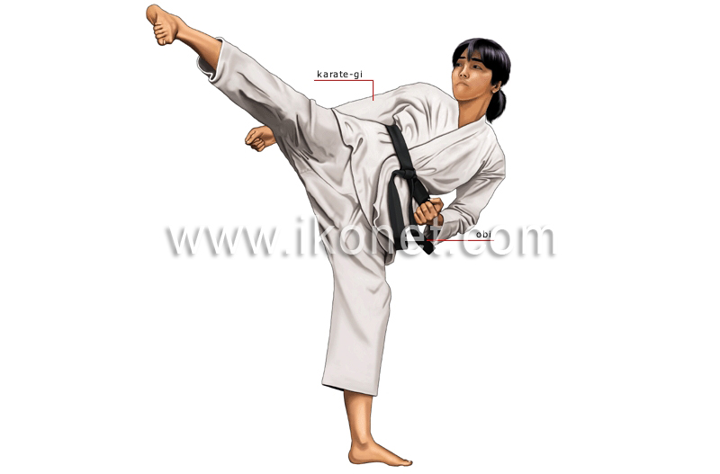 karateka image