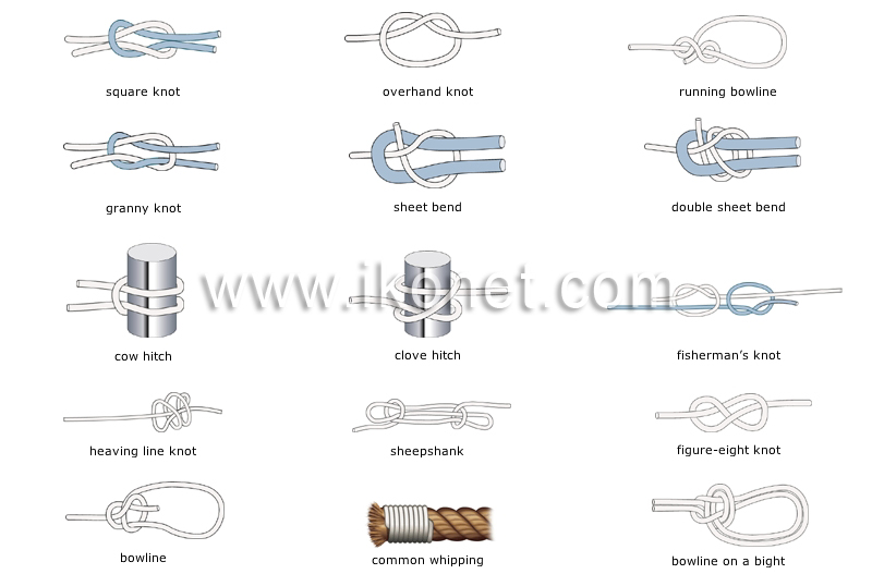 knots image