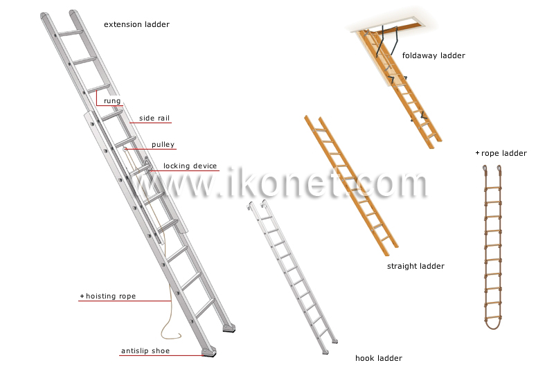 ladders and stepladders image