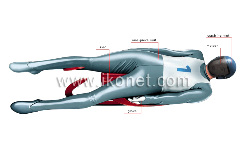 luge racer image