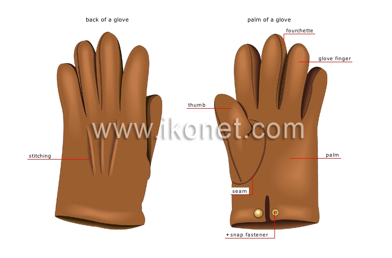 men’s gloves image