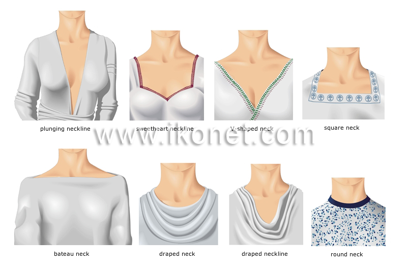 clothing > women's clothing > necklines and necks image - Visual Dictionary