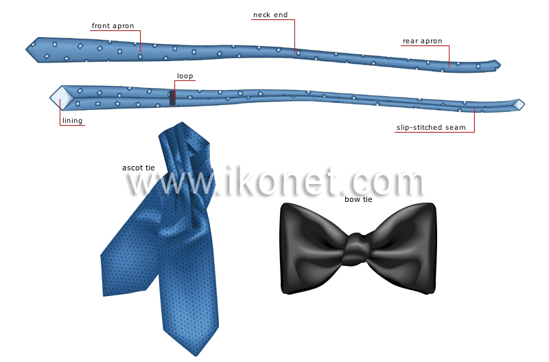 necktie image