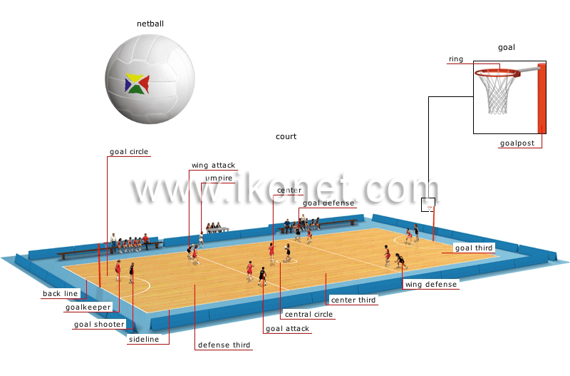 netball image