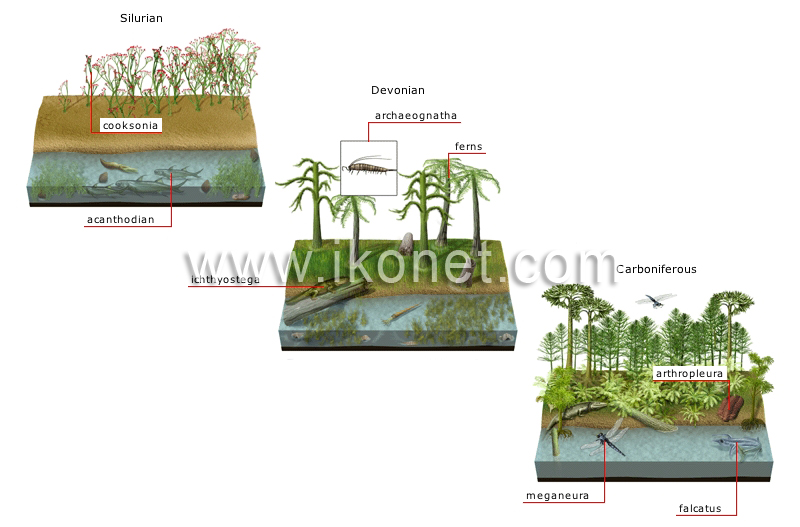 origin and evolution of species image