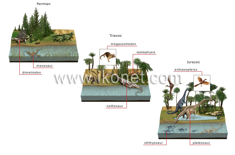 origin and evolution of species image