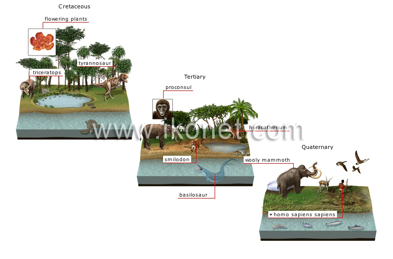 origin and evolution of species image