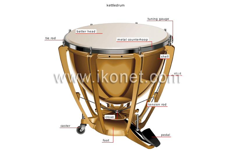 percussion instruments image