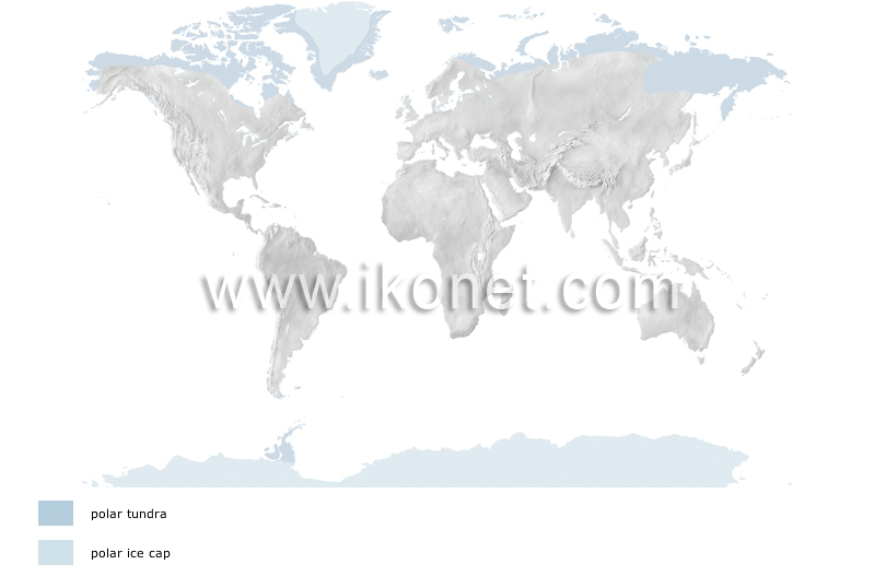 polar climates image