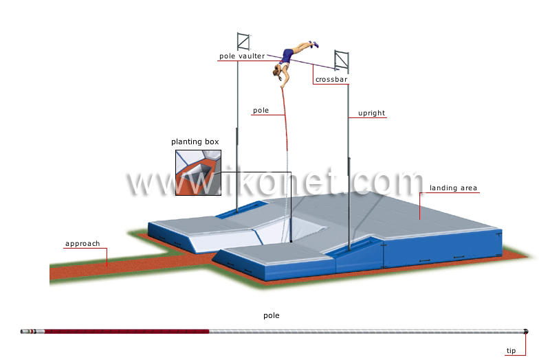 pole vault image