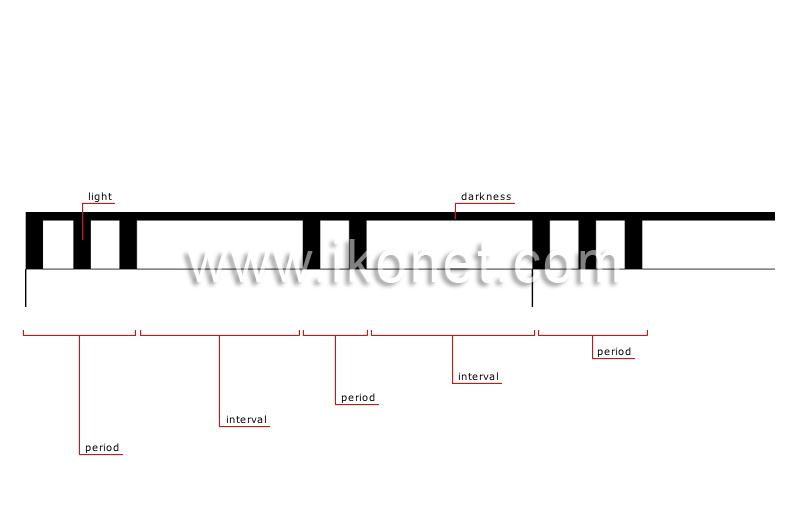 rhythm of marks by night image