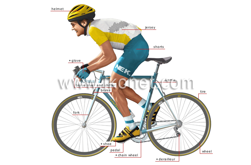 road-racing bicycle and cyclist image