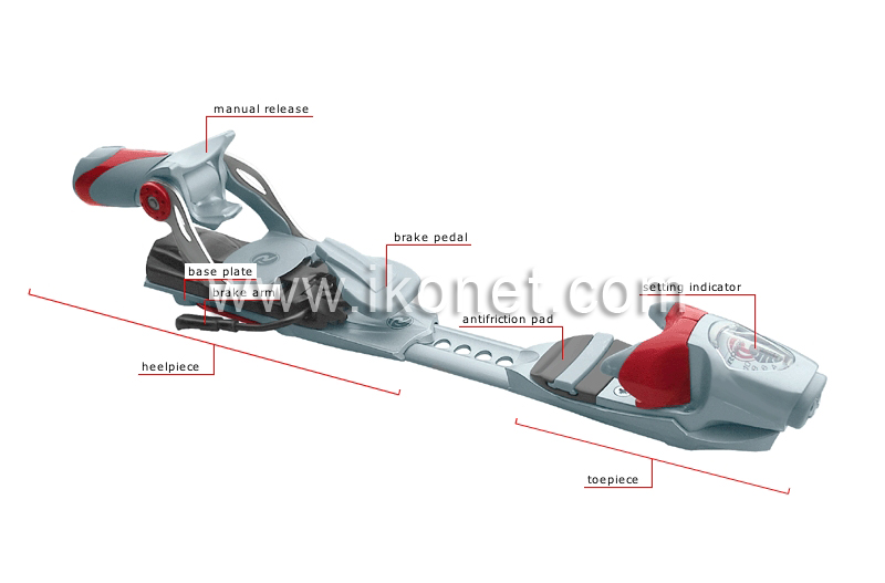 safety binding image