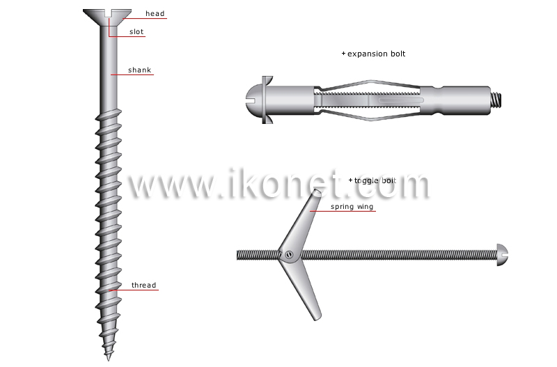 screw image