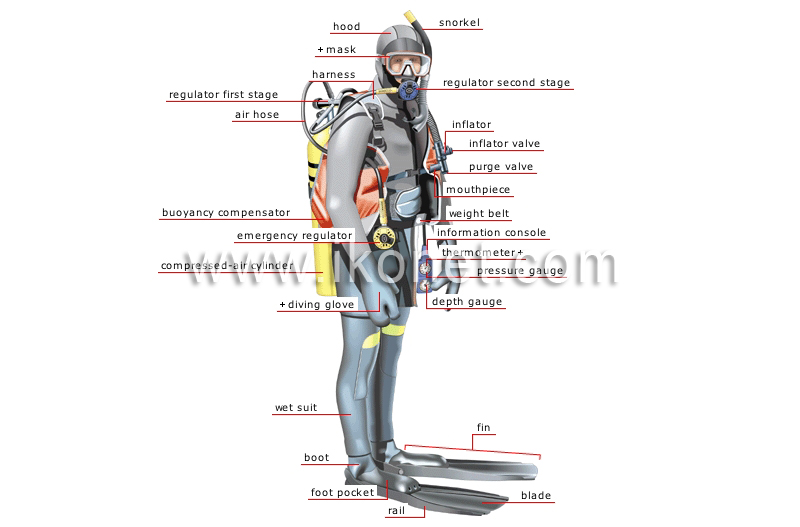 scuba diver image