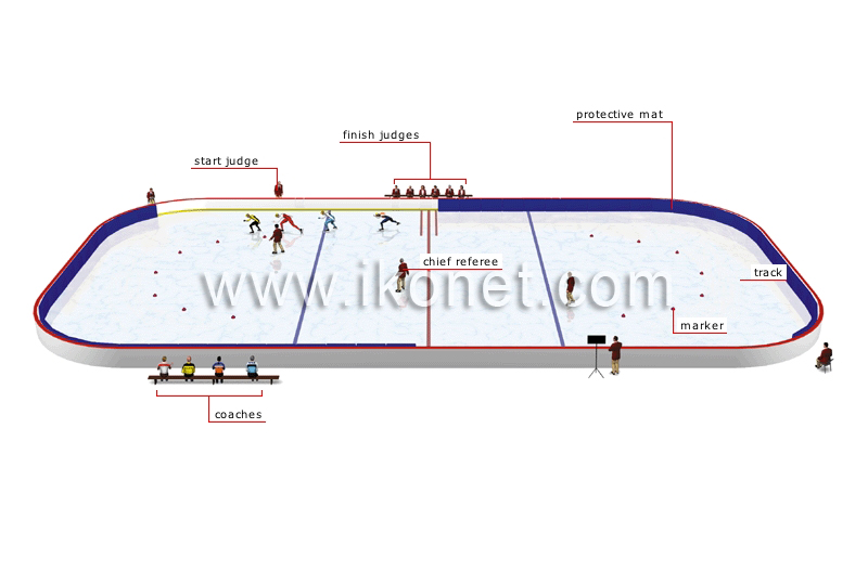 sports and games > winter sports > speed skating > short track image ...