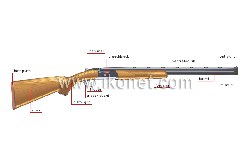 shotgun (smooth-bore) image