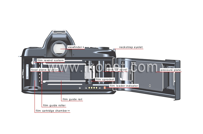 single-lens reflex (SLR) camera: camera back image