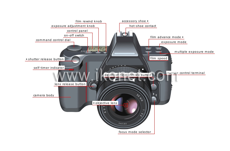 single-lens reflex (SLR) camera: front view image