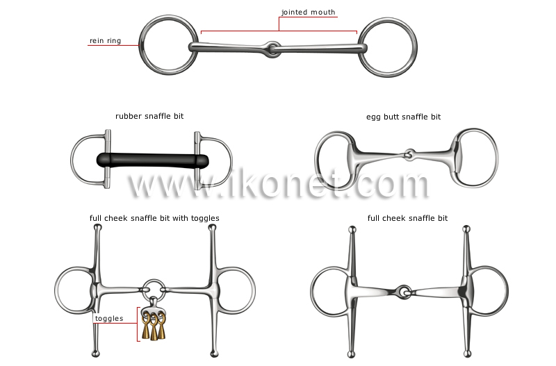 snaffle bit image