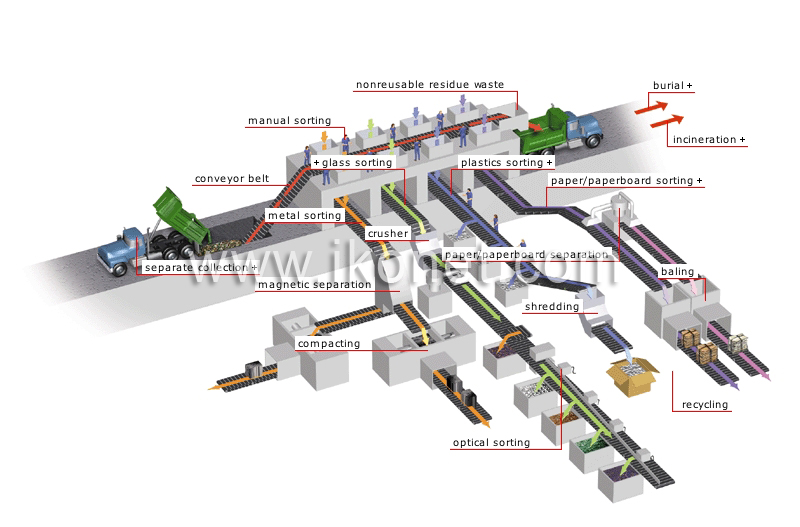 sorting plant image