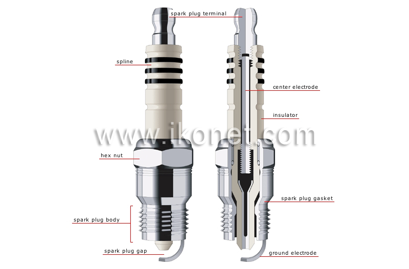 spark plug image