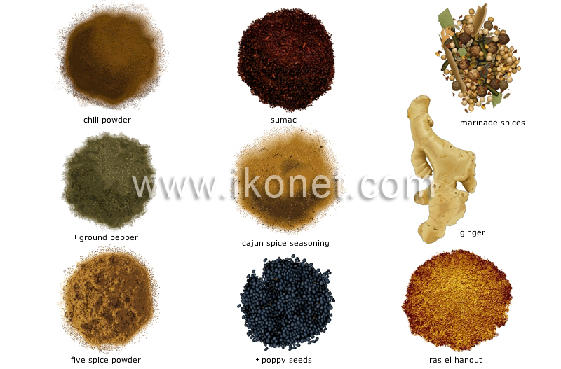 spices image