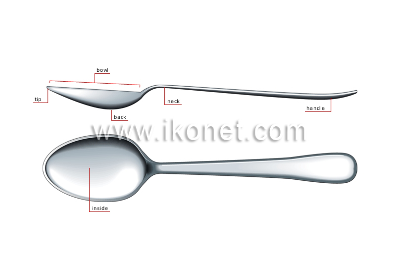 spoon image