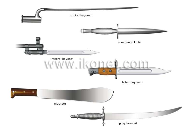 thrusting and cutting weapons image