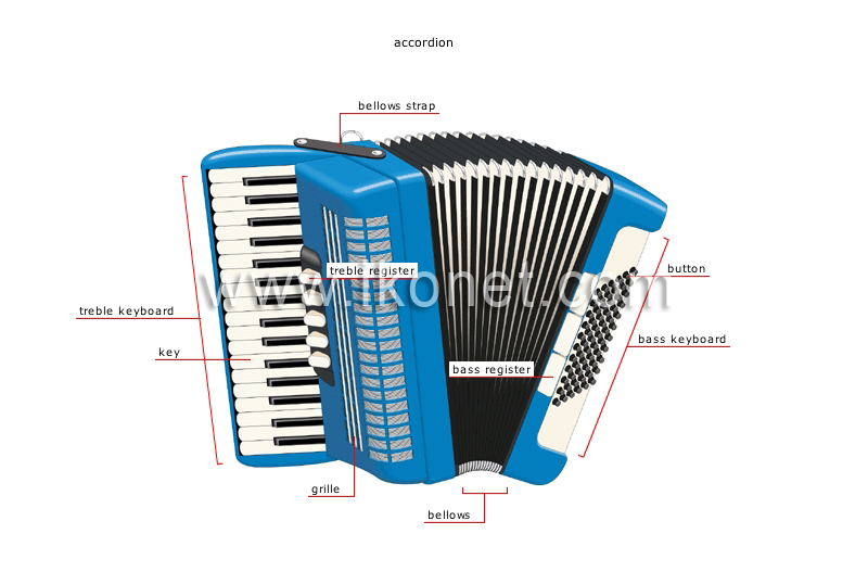 traditional musical instruments image