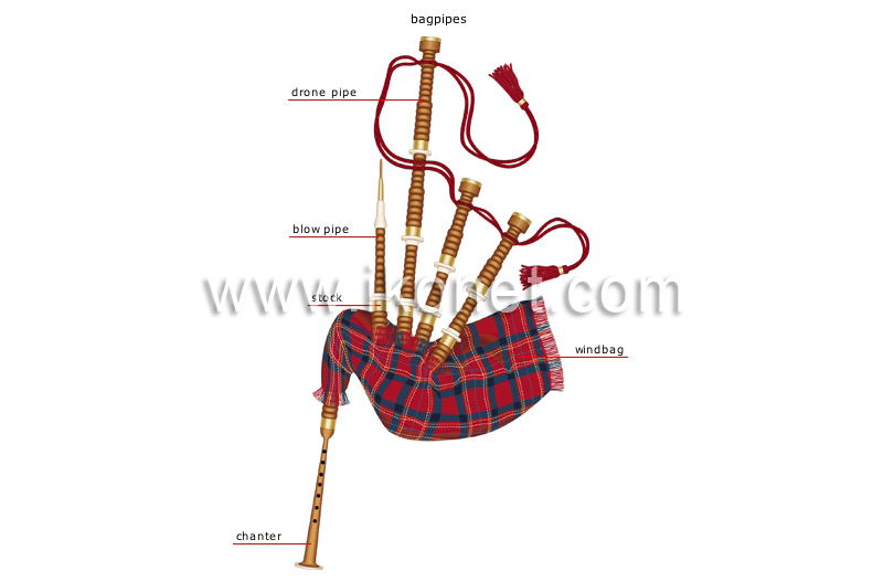 traditional musical instruments image