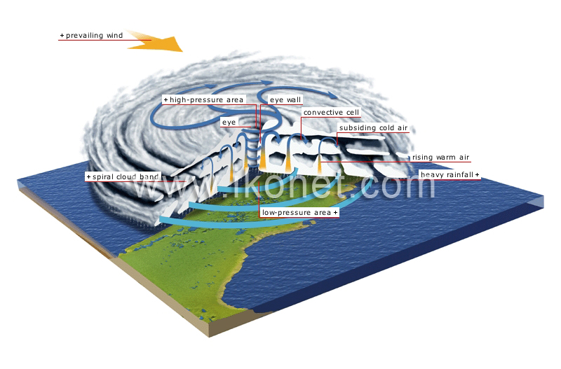 tropical cyclone image