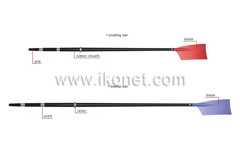 types of oars image